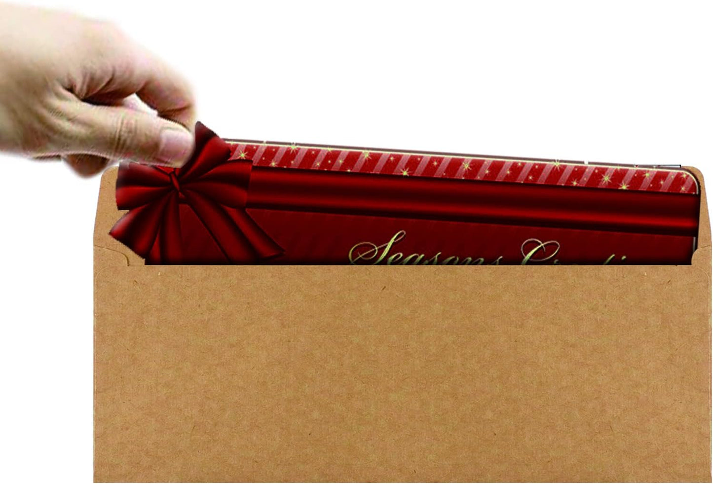 120 Pack #10 Brown Kraft Security Envelopes 4-1/8 x 9-1/2 inches Self Seal