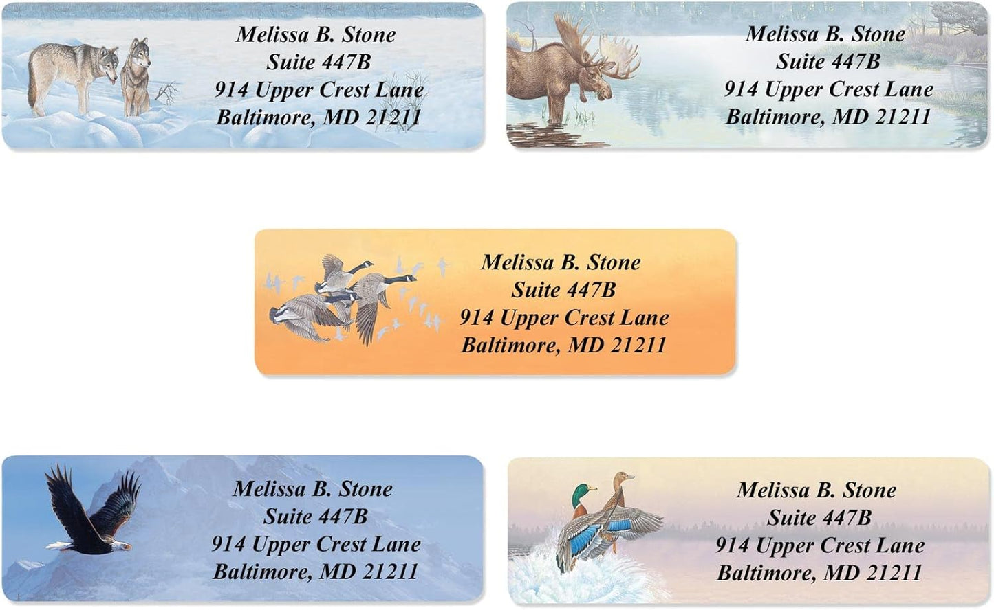 in The Wild Assorted Designer Name & Address Labels with Elegant Plastic Dispenser