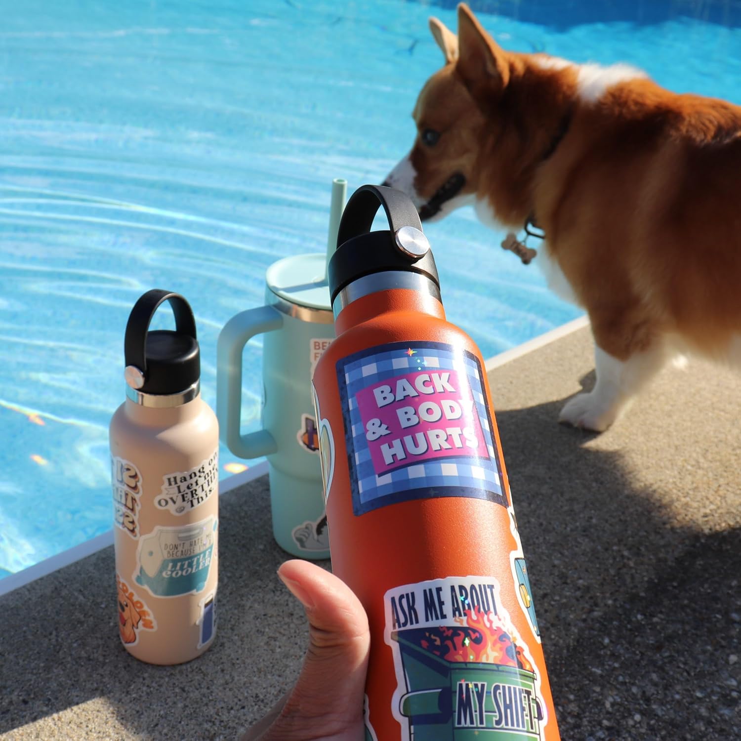 225PCS Funny Holographic Stickers for Adults, Waterproof Vinyl Pack Sarcastic Relatable Meme Decals for Laptop, Water Bottle, Phone, Kindle, Journal, Scrapbooking, No Repeats (225PC Hot Mess)