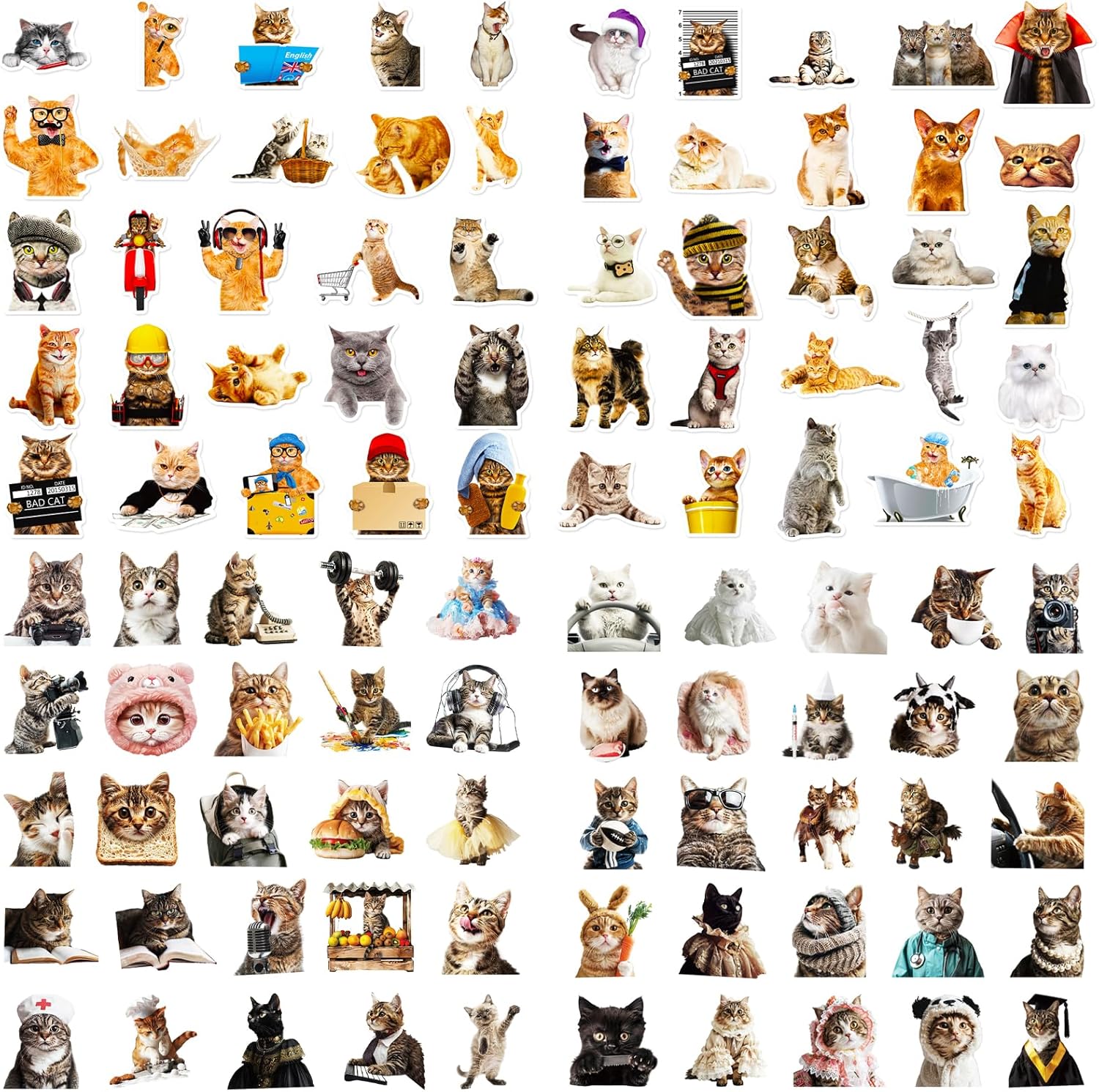 100 PCS Cute Cat Stickers for Kids, Funny Kitten Stickers for Journaling Laptop Scrapbook Water Bottles Guitar Skateboard, Decals for Teens Adults Kids Gift (Cat)