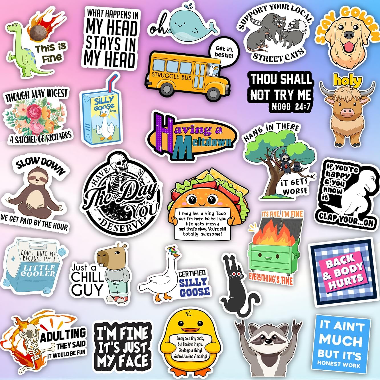 225PCS Funny Holographic Stickers for Adults, Waterproof Vinyl Pack Sarcastic Relatable Meme Decals for Laptop, Water Bottle, Phone, Kindle, Journal, Scrapbooking, No Repeats (225PC Hot Mess)