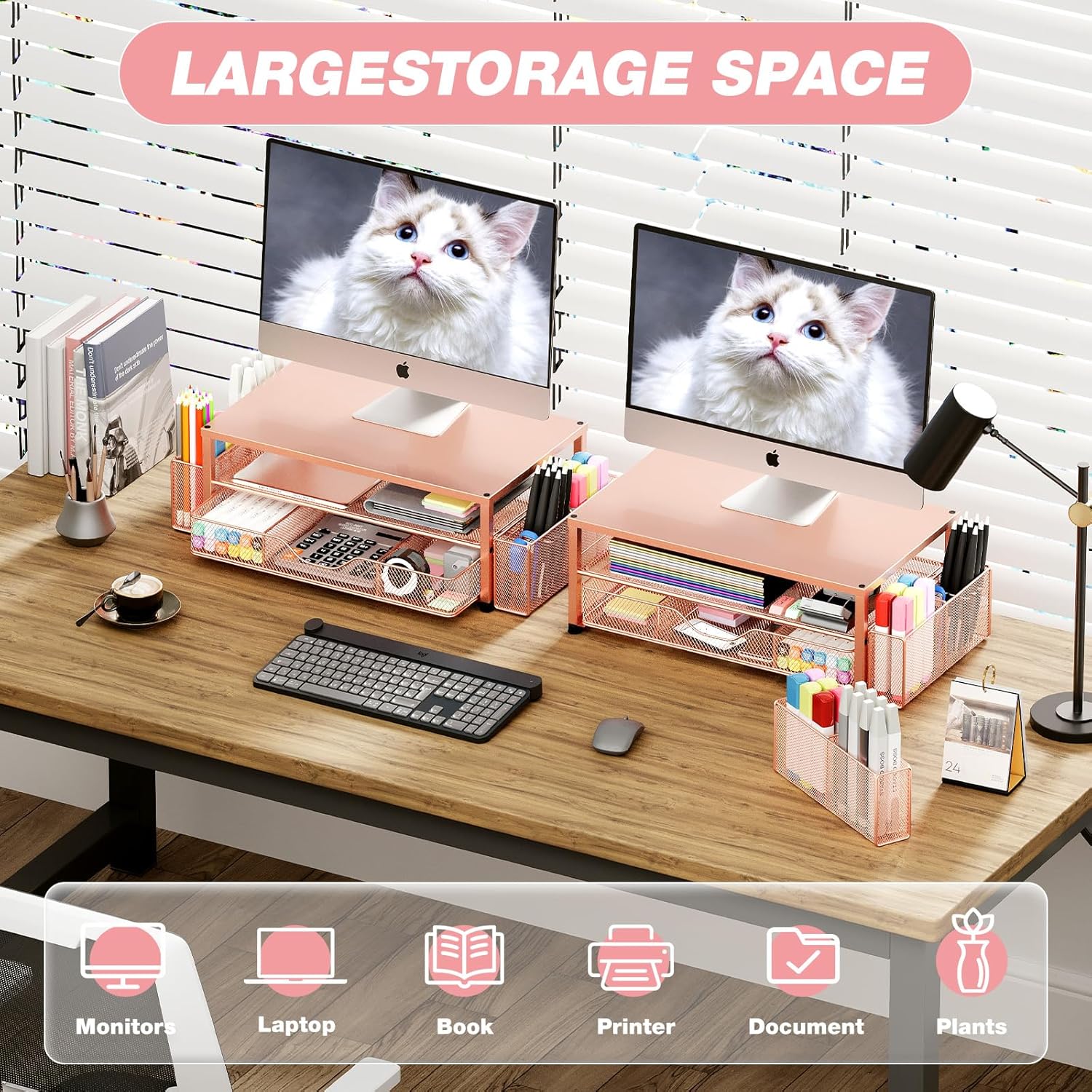 Desk Organizers and Accessories, 2-Tier Computer Monitor Stand with Drawer and 2 Pen Holders, Laptop Stand, Office Desk Accessories for Office Supplies, Rose Gold
