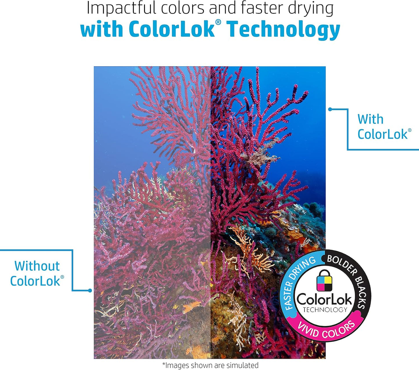 HP Papers | 8.5 x 11 Paper | MultiPurpose 20 lb | 1 Pallet - 80 Cartons (200,000 Sheets) | 96 Bright | Made in USA - FSC Certified | 115100P