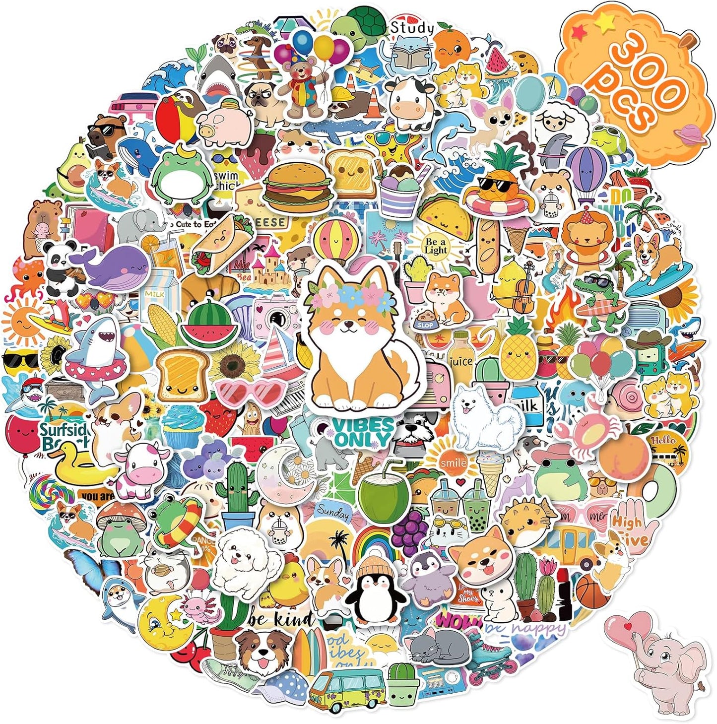 300 PCS Water Bottle Stickers for Kids,Cute Waterproof Vinyl Laptop Stickers Pack for School Supplies Classroom Teacher Prizes, Fun Gift Sticker Pack for Girls Teens Students