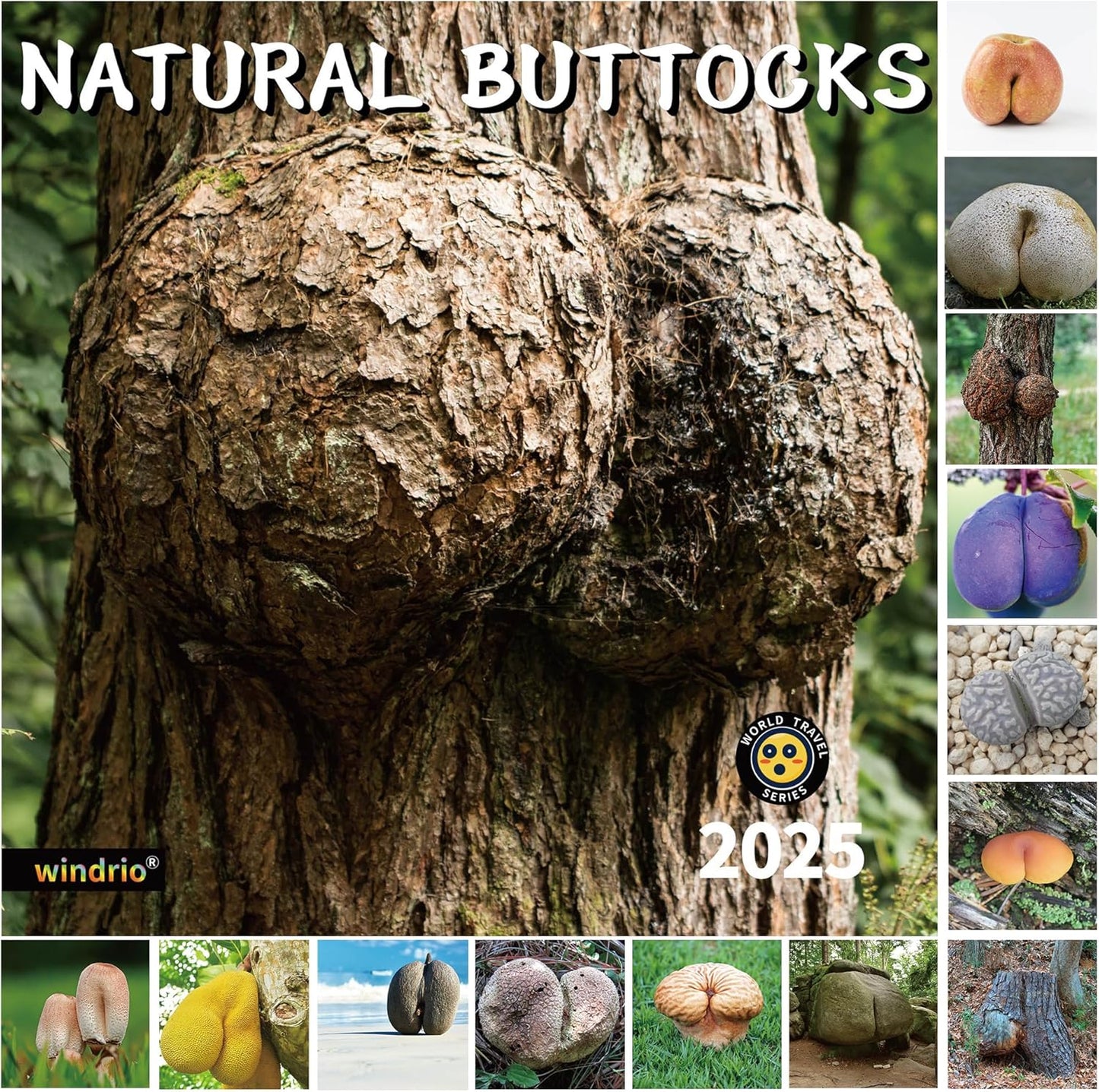 2025 Wall Calendar Funny Natures Dongs, January 2025 - December 2025, Funny Gag Gift for Adults, White Elephant Gift, 12 Months Organizer with D'ck Pics Nature Photos, 12" x 24" Opened