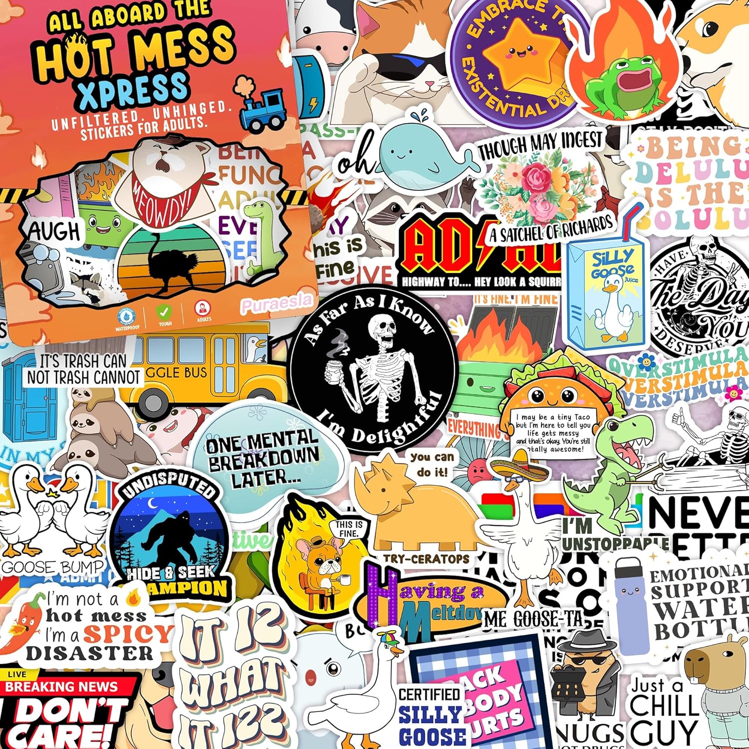 225PCS Funny Holographic Stickers for Adults, Waterproof Vinyl Pack Sarcastic Relatable Meme Decals for Laptop, Water Bottle, Phone, Kindle, Journal, Scrapbooking, No Repeats (225PC Hot Mess)